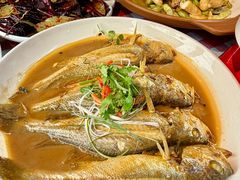 -老家黄墩小错鸡·活海鲜