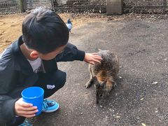 -费瑟代尔野生动物园