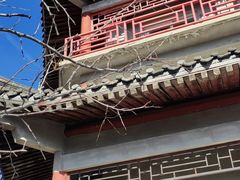 -大觉寺-停车场