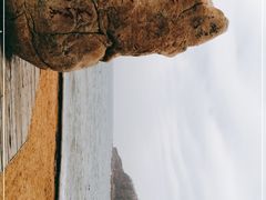 -棒棰岛宾馆景区