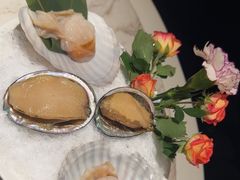 -汤城·料青山