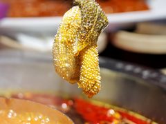 鲜千层毛肚-谭鸭血老火锅(万象九宜城店)