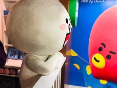 -line friends(明洞旗舰店)