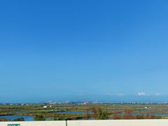 -大湾区中央湿地公园-十九涌