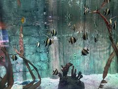 -沈阳海洋探索中心