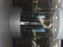 -下渚湖国家湿地公园科普馆