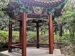 -北坞公园