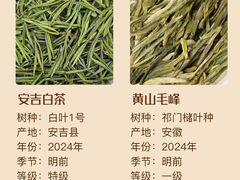 -汉艺唐风茶艺培训(联发华美空间店)