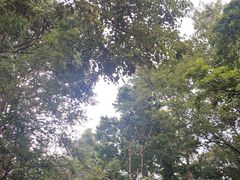-黔灵山公园