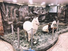 -上海大自然野生昆虫馆(东方明珠·爬宠昆虫探索中心)