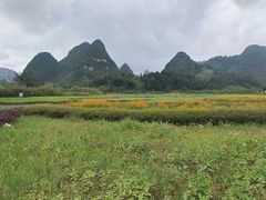-靖西鹅泉风景区