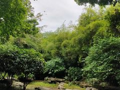 -龙头寺公园