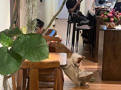 -echoes coffee回响咖啡(红山店)