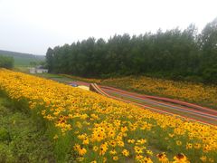 -北纬44度·金珠花海休闲农业旅游景区