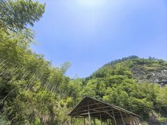 -东天目山风景区