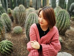 -南山植物园