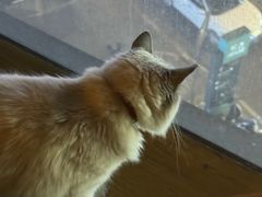 -故遥酒馆.赛事直播