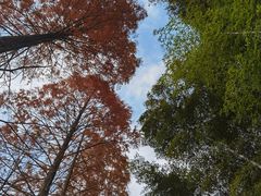 -新安江山水画廊风景区