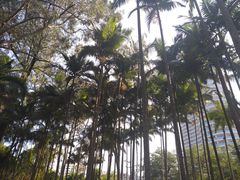 -北海市海滨公园