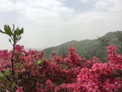 -木兰云雾山
