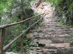 景点去往第二停车场，最后的山路-九龙潭景区