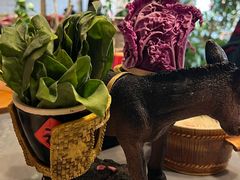 -慢丽江·云南野生菌土鸡锅(付家庄店)