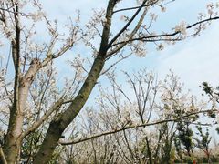 -白鹭湾湿地公园