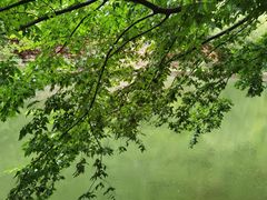 -湖洞水自然风景区