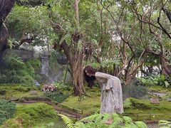 -Chom Cafe and Restaurant