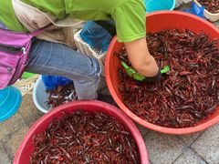 -青石桥市场北1-27号