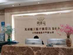 -碧莲盛·不剃发植发