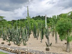-东莞植物园