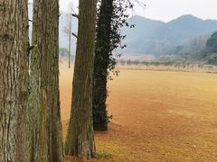 -东钱湖旅游度假区