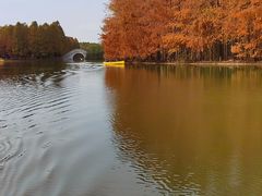 -上海海湾国家森林公园