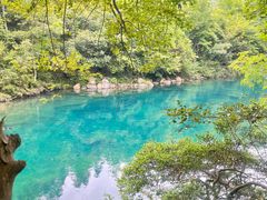 -石台牯牛降景区