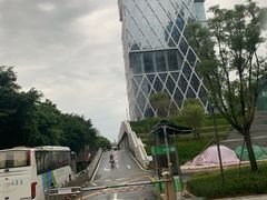 -深圳湾木棉花酒店