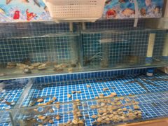 -犇鼎牛潮汕牛肉火锅(新辰里学清路店)