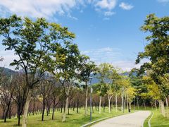 -牛岗山公园