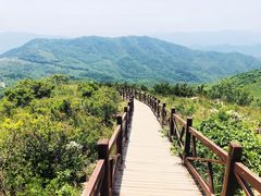 -阳台山自然风景区