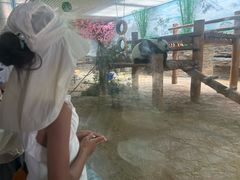 -西霞口神雕山野生动物世界