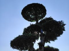 -南宁南湖公园