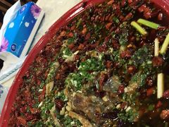 -东吴霸王兔(松青路店)