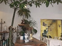 -吉丁鸟咖·异宠·寄养
