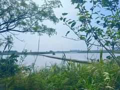 -盐城丹顶鹤湿地生态旅游区