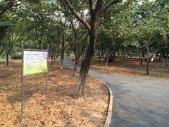 -西北湖绿化广场