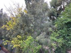 -悉尼蓝山三姐妹峰