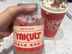 -森茶(湛江万达店)