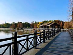 -海珠湖公园