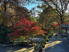 -山外山菜馆(玉泉路店)