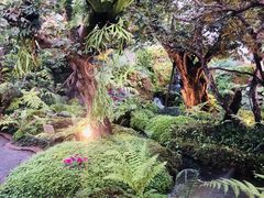 -Chom Cafe and Restaurant